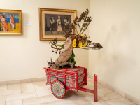 Ikebana en Museo Ralli 2022-198